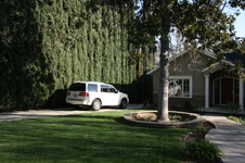 Enlarge photo 92