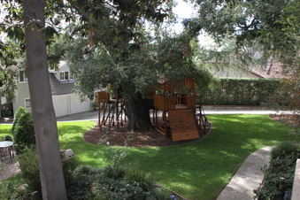 Enlarge photo 41