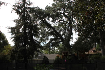 Enlarge photo 37