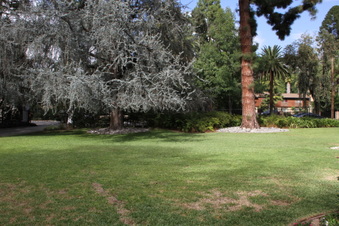 Enlarge photo 96