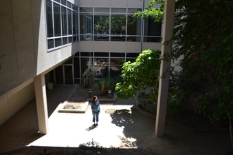 Enlarge photo 62