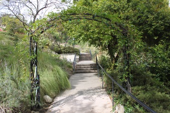 Enlarge photo 20