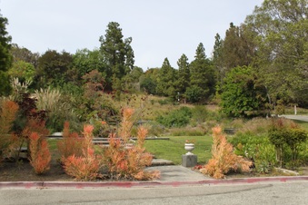 Enlarge photo 33
