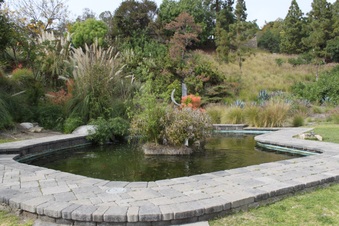 Enlarge photo 35