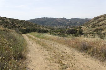 Enlarge photo 6
