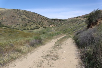 Enlarge photo 7