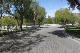 Enlarge photo 13