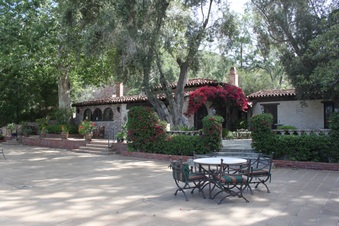 Enlarge photo 41