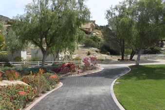 Enlarge photo 158