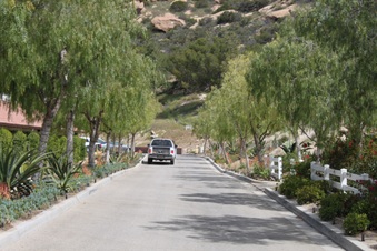 Enlarge photo 167