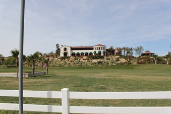 Enlarge photo 178