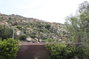 Enlarge photo 184