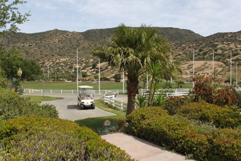 Enlarge photo 201