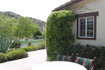 Enlarge photo 203
