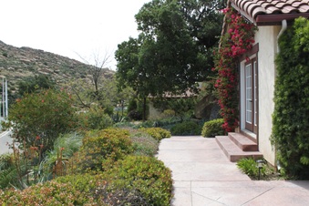 Enlarge photo 233