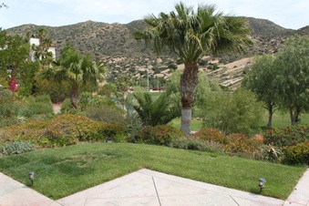 Enlarge photo 248