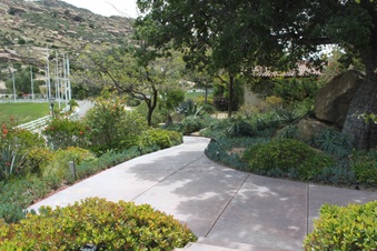 Enlarge photo 251