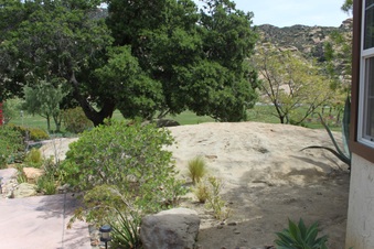 Enlarge photo 256