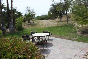 Enlarge photo 264