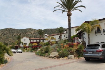 Enlarge photo 270