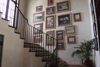 Enlarge photo 351