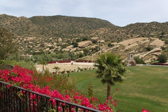 Enlarge photo 419