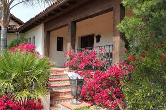 Enlarge photo 426