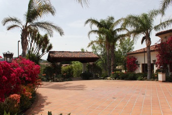 Enlarge photo 428