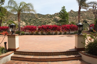 Enlarge photo 435