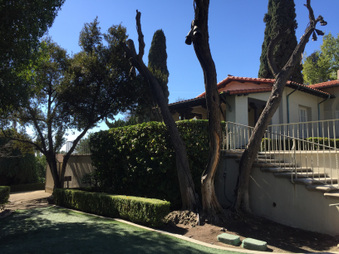 Enlarge photo 15