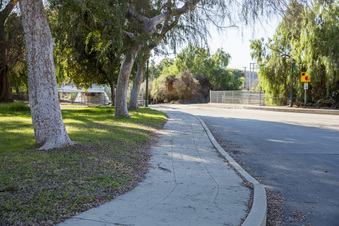 Enlarge photo 57