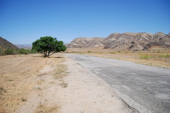 Enlarge photo 35