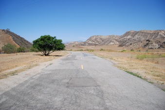 Enlarge photo 36