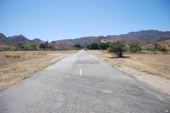 Enlarge photo 37