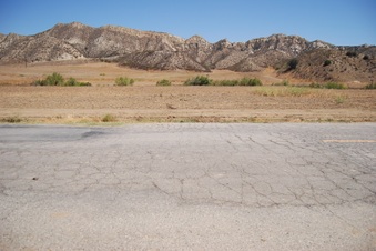 Enlarge photo 40
