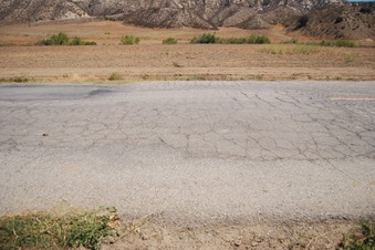 Enlarge photo 41