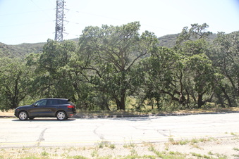 Templin Highway