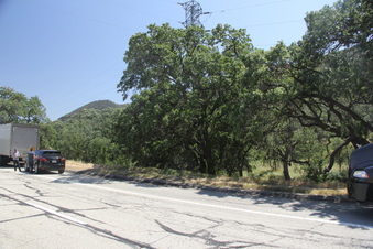 Enlarge photo 4