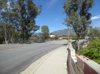 Enlarge photo 53
