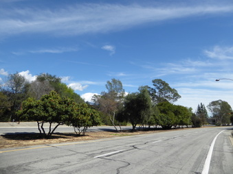 Enlarge photo 73