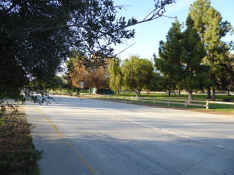 Enlarge photo 30