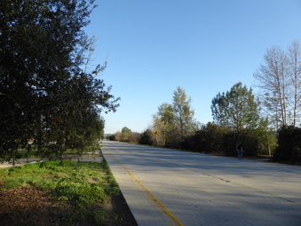 Enlarge photo 33