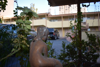 Enlarge photo 57