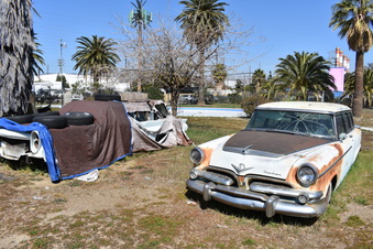 Enlarge photo 59