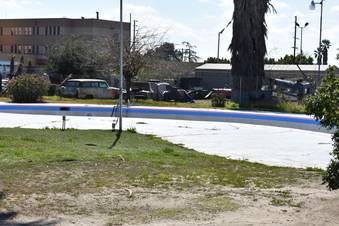 Enlarge photo 81