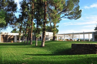Enlarge photo 84