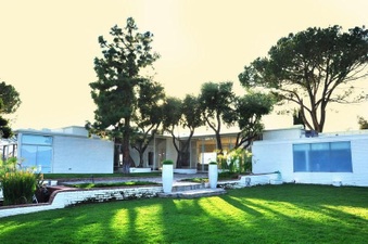 Enlarge photo 93