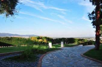 Enlarge photo 99