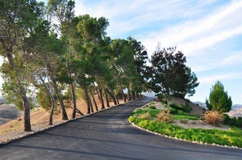 Enlarge photo 107