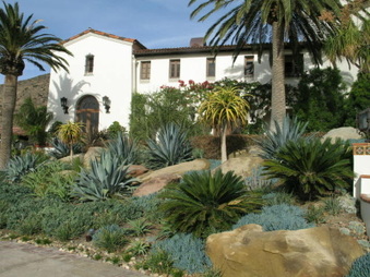 Enlarge photo 42